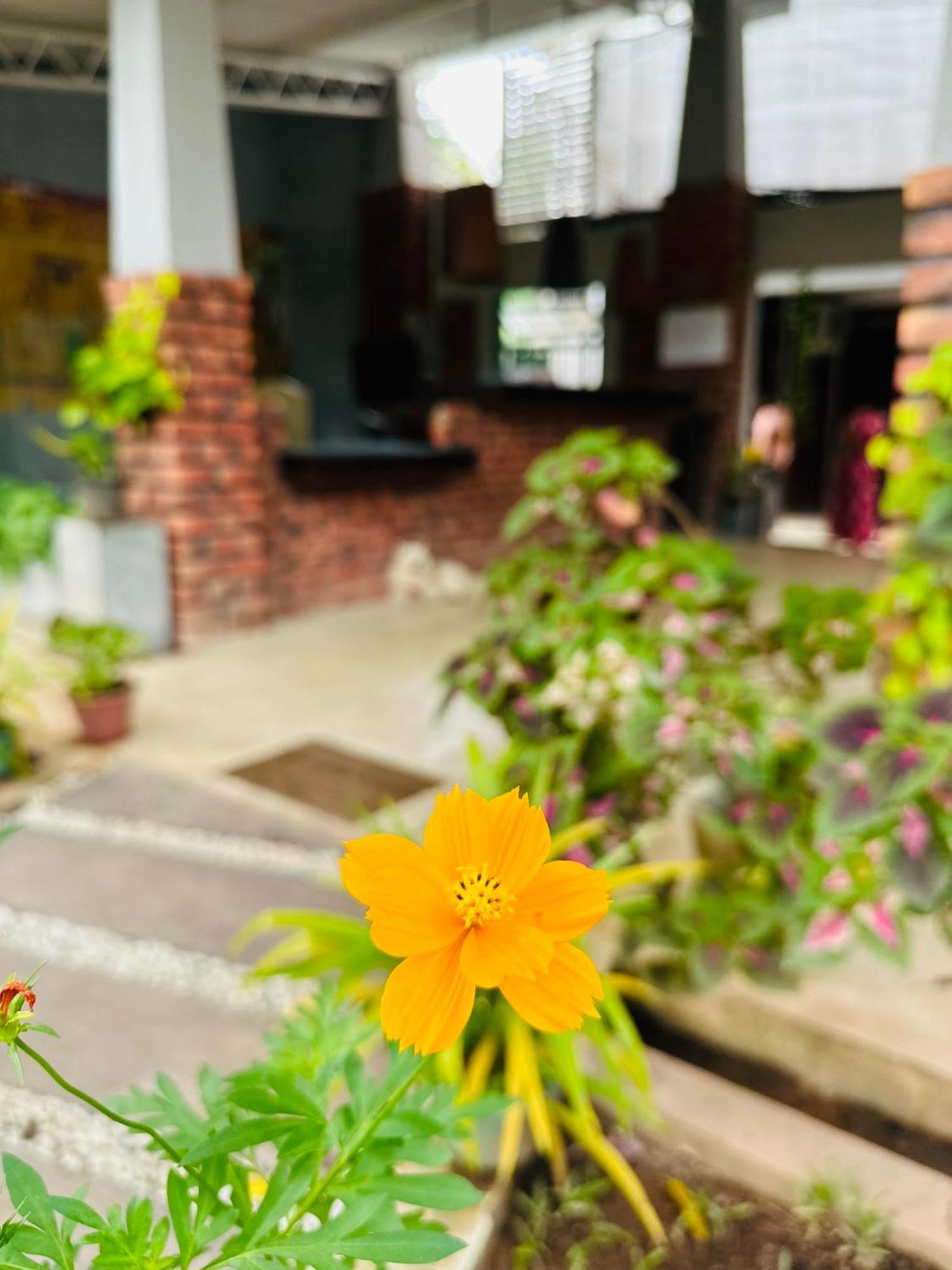 Lanka Bangla Inn Villas Restaurant & Travels Katunayaka Bagian luar foto